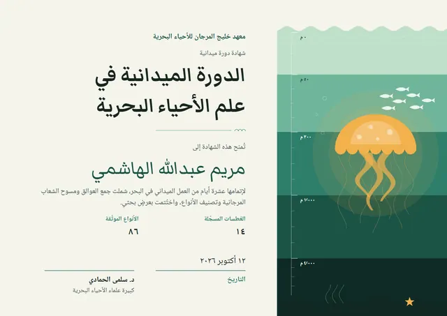 قالب شهادة الدورة الميدانية في الأحياء البحرية بتصميم نعناعي وشمس مشرقة، مقاس A4 أفقي