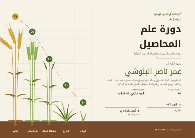 قالب شهادة دورة علوم المحاصيل بتصميم زيتوني وأمواج، مقاس A4 أفقي