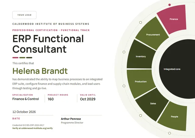 Olive Modern ERP Functional Consultant Certificate template, A4 landscape, in olive