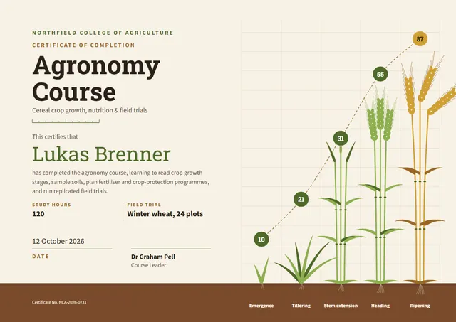 Olive Wave Agronomy Course Certificate template, A4 landscape, in olive